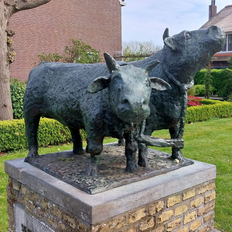 De Rypster Oksen