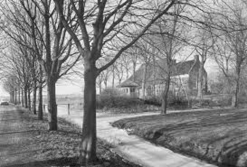 Hobbemasingel