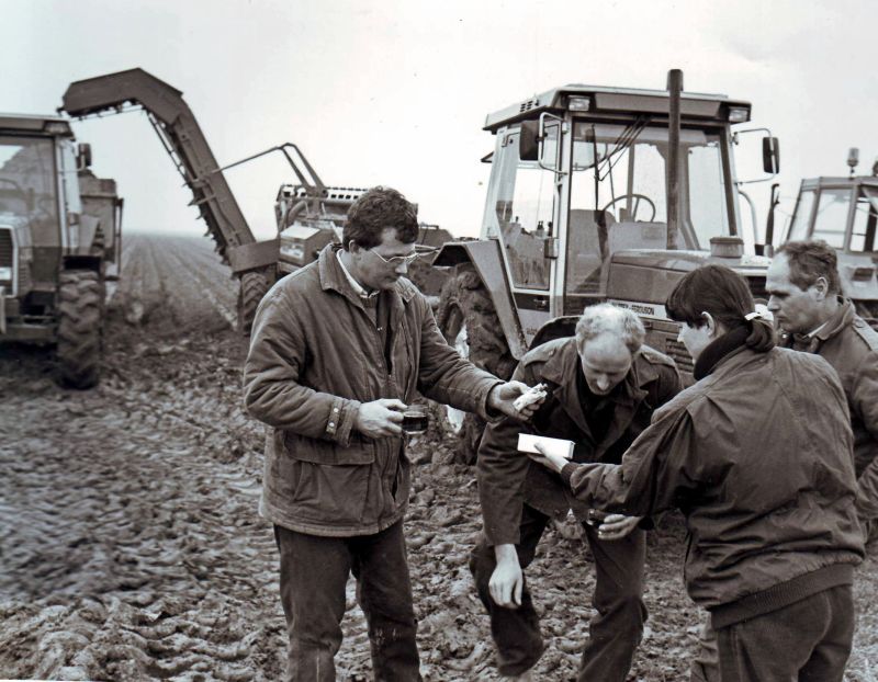 Worteloogst in de winter 