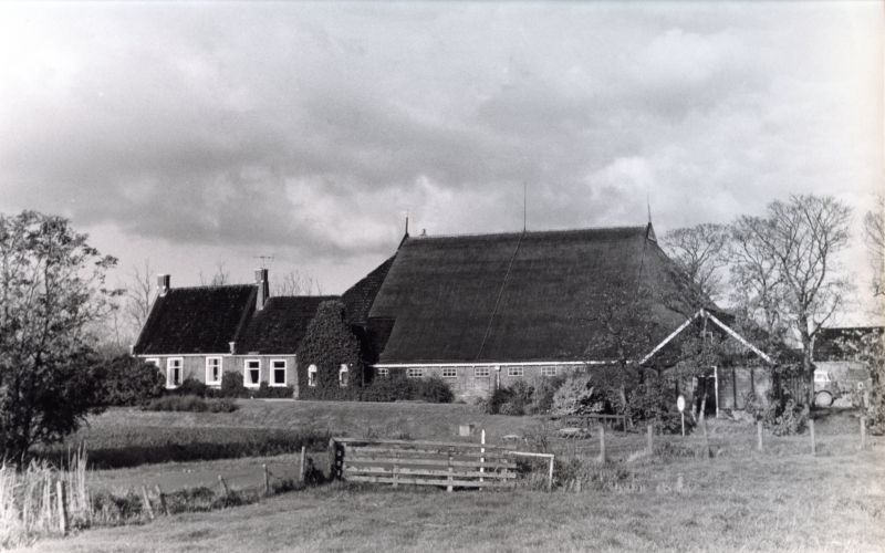 Donia Sathe, Ropsterwei 5 