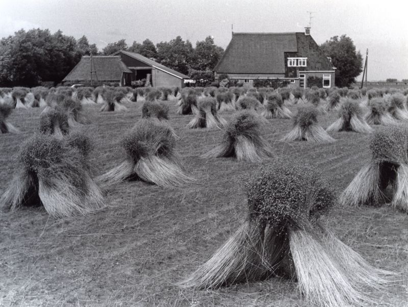 Sippenburch, Ropsterwei 16 