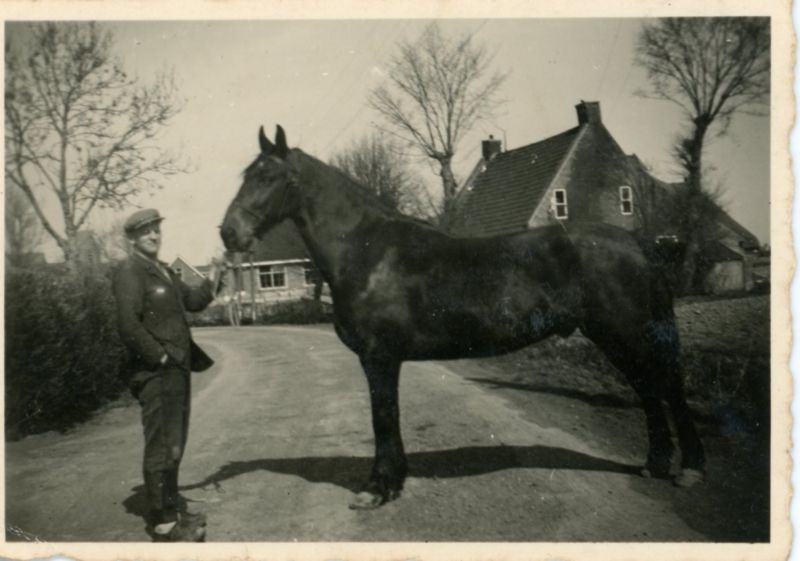 Ropsterwei - Man en Paard