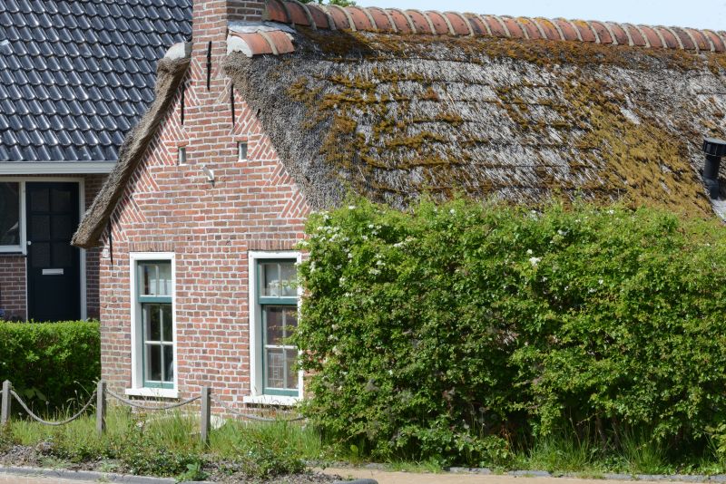 Het kleinste tinyhouse staat in Friesland