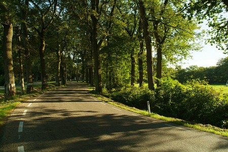 Van Veenklooster naar Veenwouden