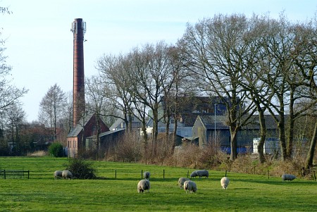 Twijzel