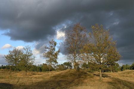 Nationaal Park het Drents Friese Wold