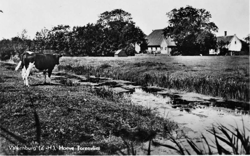 Torenvlietlaan - hoeve Torenvliet (vh van Leeuwen)
