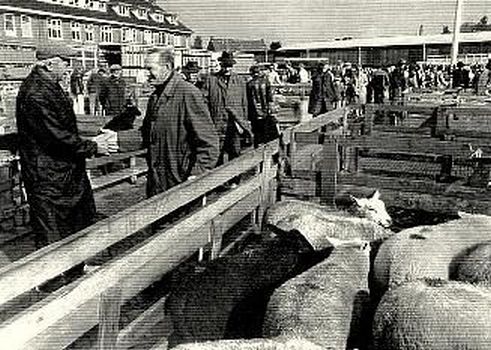 Tsjaerddyk 26