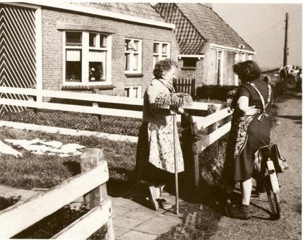 Bakker Brink