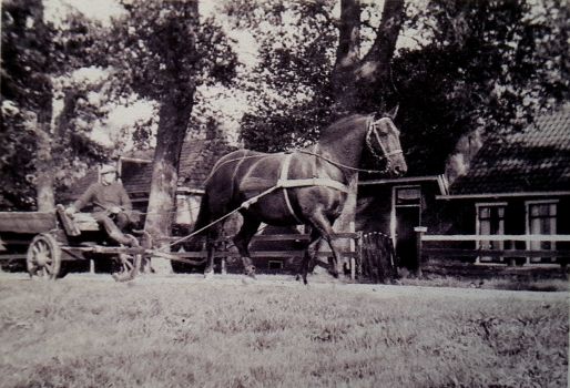 Tsjaerddyk 27