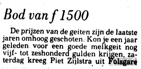 Nieuwbouw aan de Tsjaerddyk