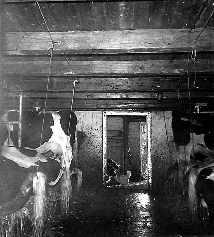 Pastorieboerderij, Tsjaerddyk 49