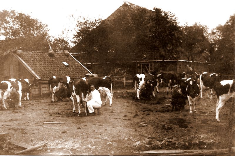 Pastorieboerderij, Tsjaerddyk 49