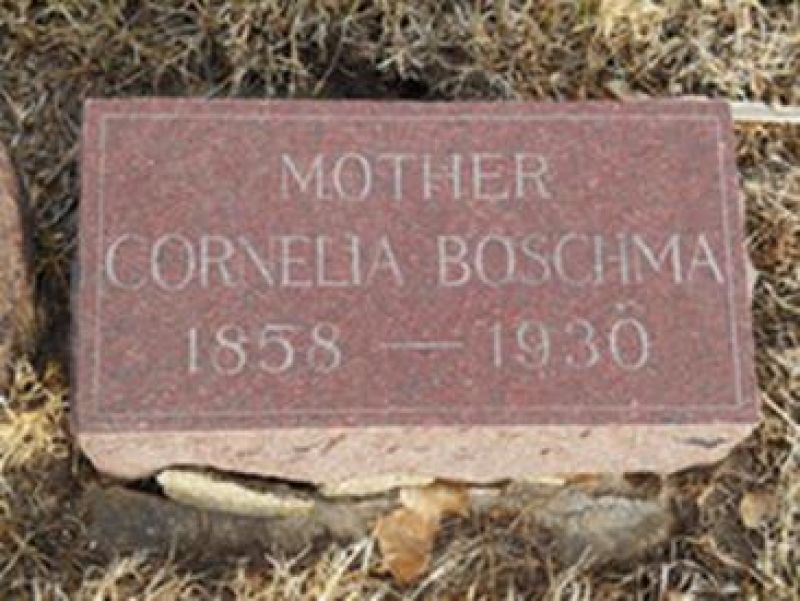 Jouke Boschma, in Folsgeaster in Amerika