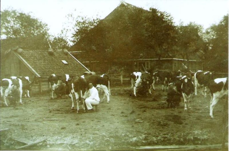 De Twijnstra broers