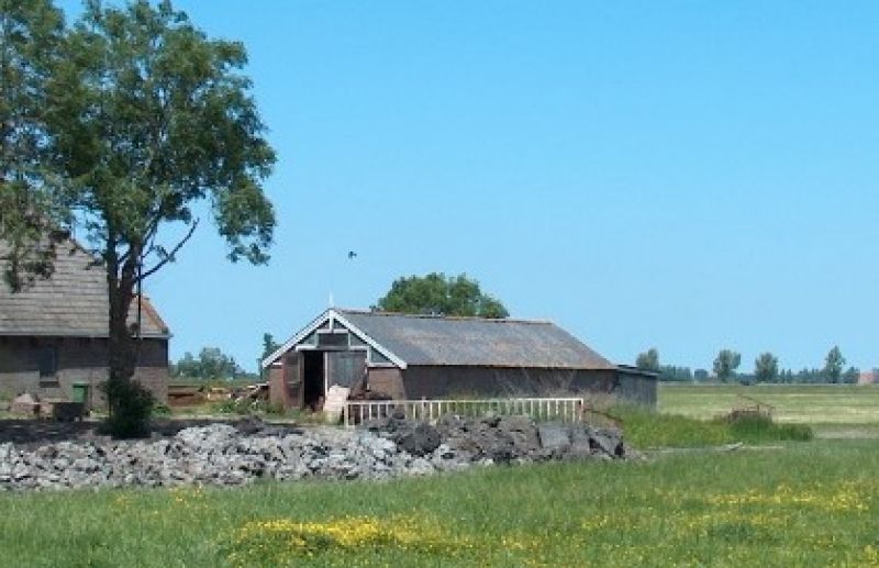 Tsjaerddyk 31