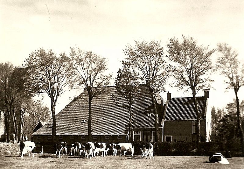 Pleatsen yn en om Folsgeare hinne