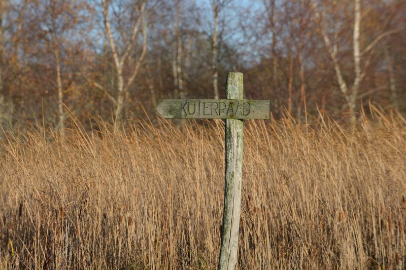 Keuzestress in de Alde Feanen